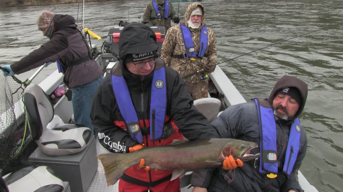 Clearwater B-Run Steelhead