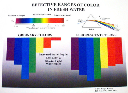 Kokanee Fishing Color Choice Confidence