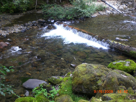 Engineering Rivers to Save Salmon and Steelhead Runs