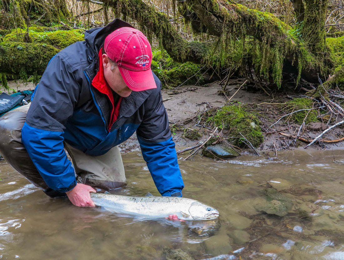 Bank on Summer Steelhead