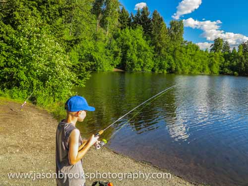 Back to Trout Basics