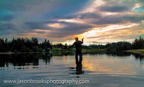 Puget Sound Searun Cutthroat