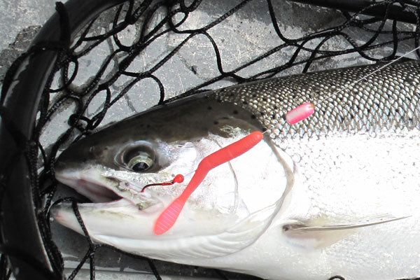 Pink Worms for Steelhead