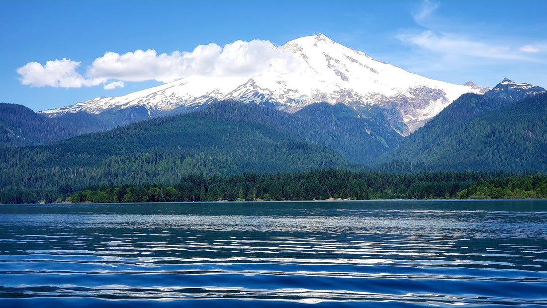 Baker Lake Sockeye