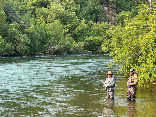 Dry Fly Fishing 101 By Chad Bryson