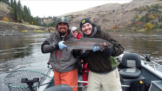 Clearwater Winter Steelhead