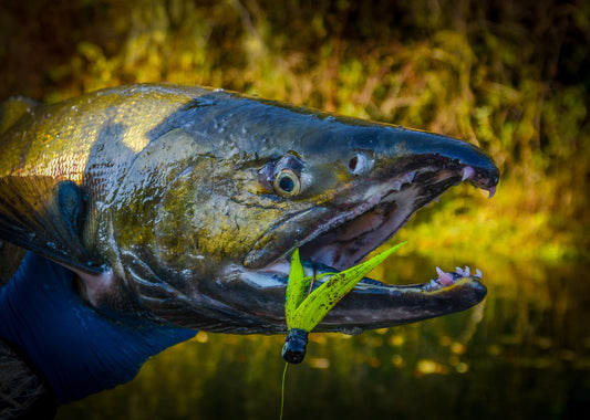 Top Chum Tactics By Jason Brooks