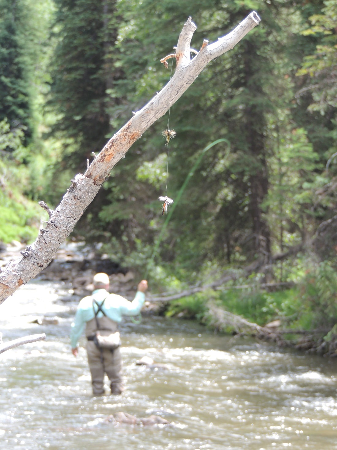 A Lifetime of Fishing Memories By Gary Lewis