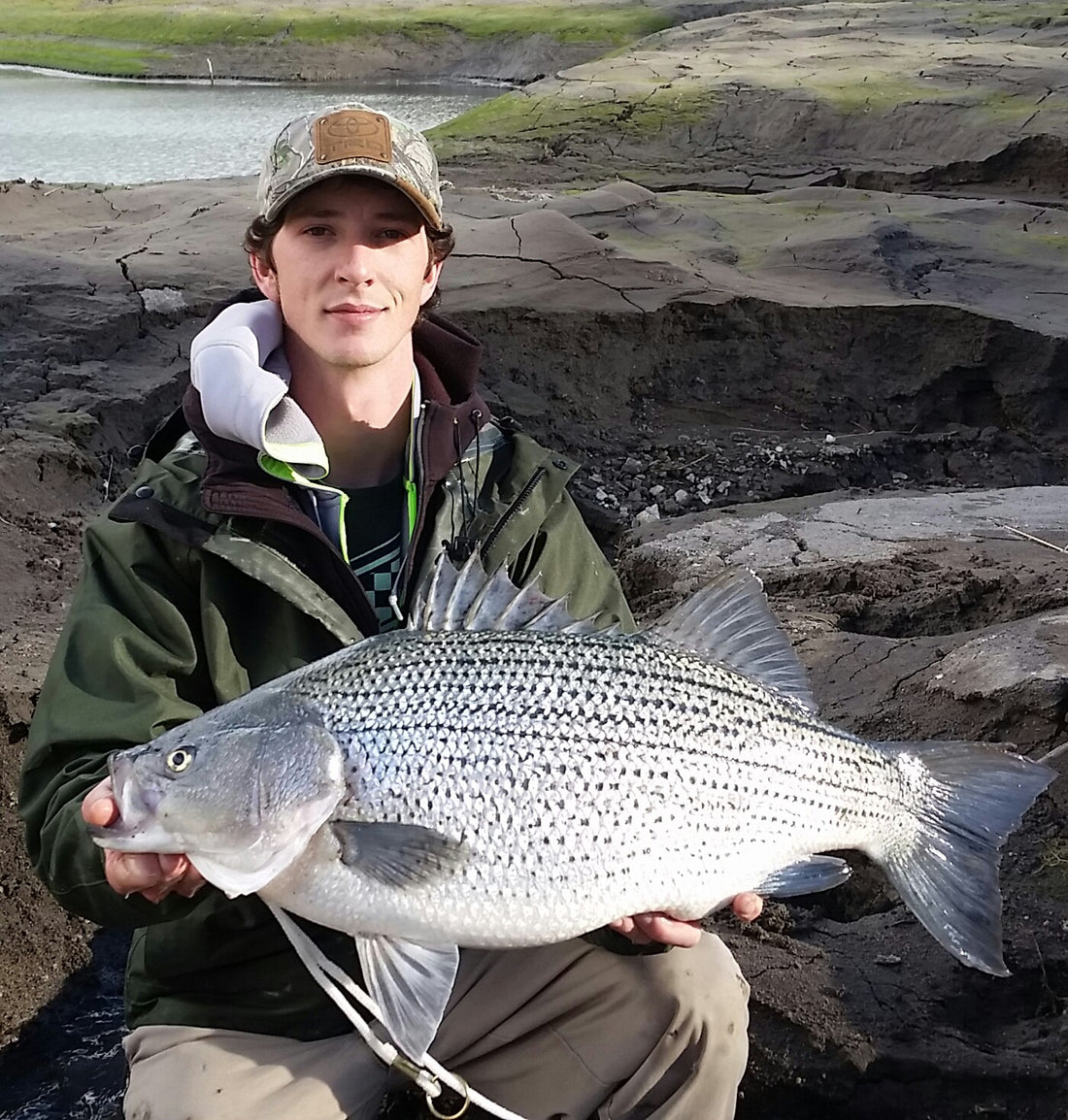 Hybrid Bass at Ana Reservoir