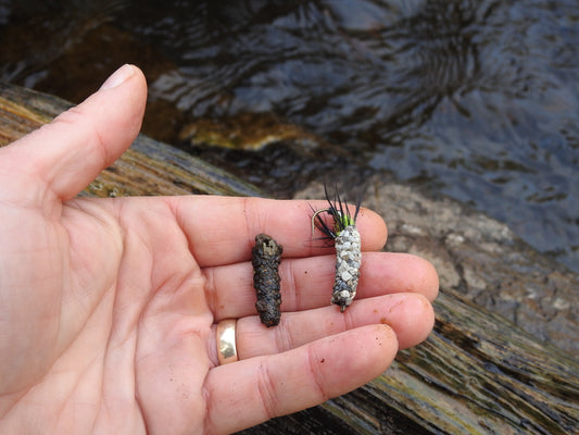 October Caddis: Too big to ignore By Gary Lewis