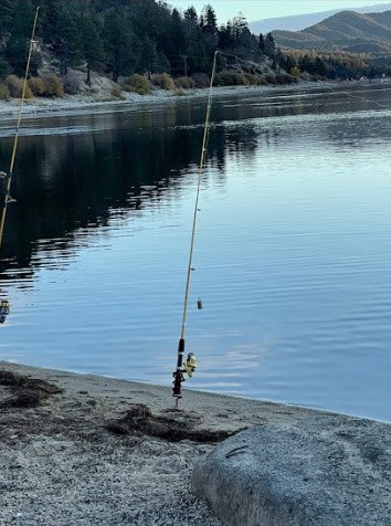 Winter Fishing – Stocked Trout Extravaganza By Paul Lewis