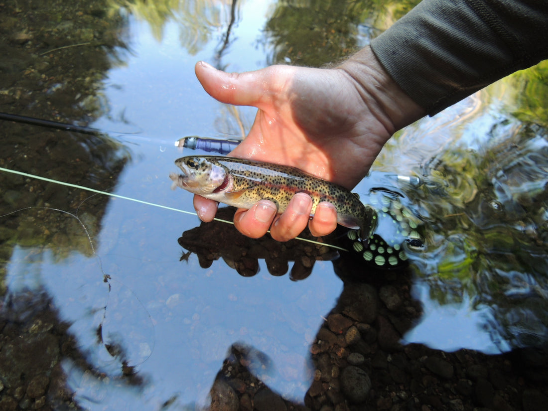 Loop Hikes For Backcountry Trout