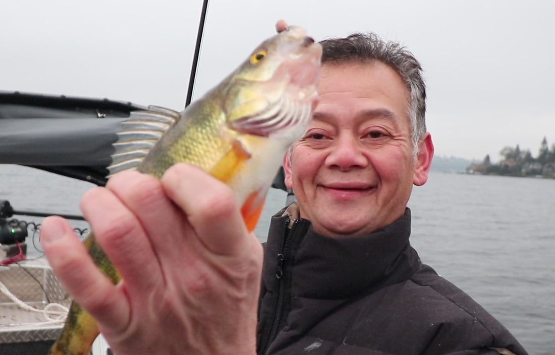 Winter Perch Fishing Western Washington