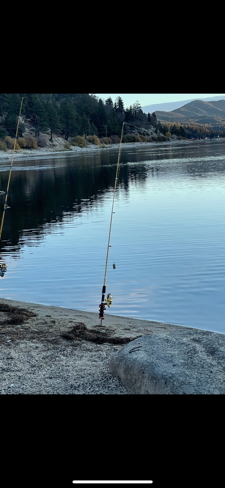 Stocked Trout Extravaganza By Paul Lewis