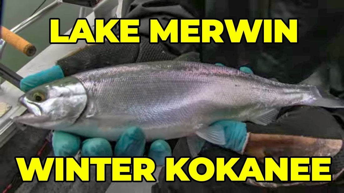 Winter Kokanee Fishing on Washington's Lake Merwin - Extended Cut