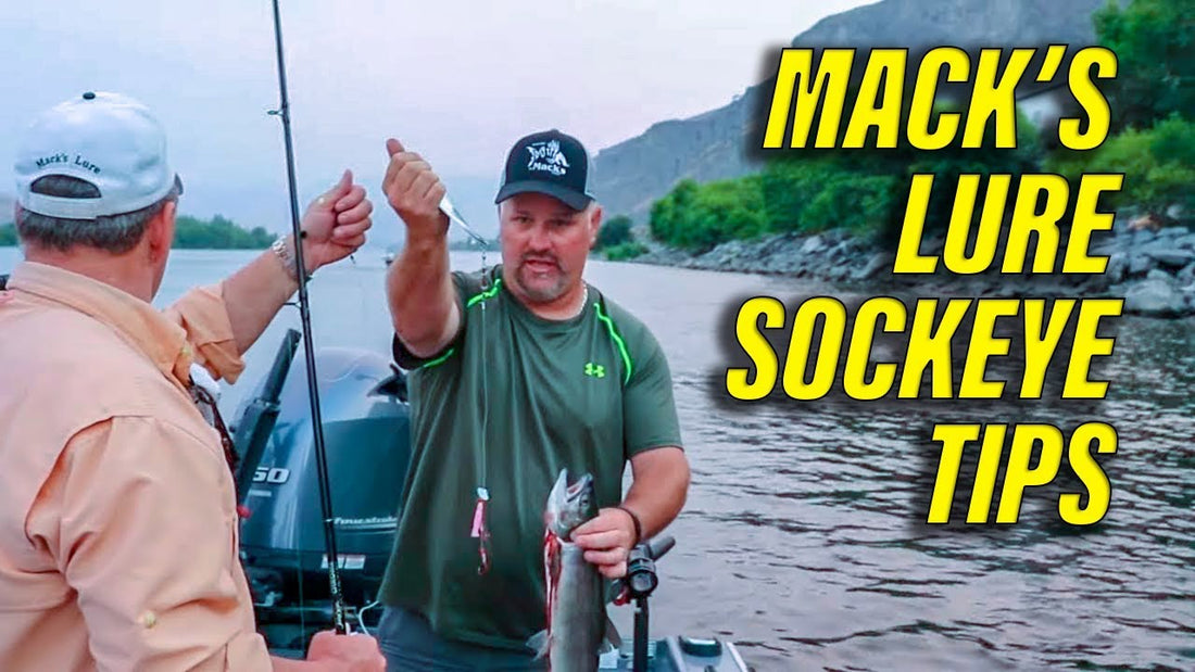 Columbia River Sockeye Fishing at Rocky Reach Dam | Tips & Trips