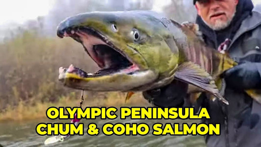 Olympic Peninsula Chum and Coho Salmon Fishing - Extended Cut