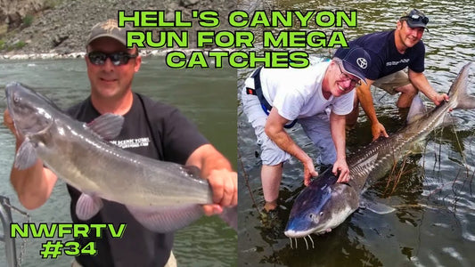 Running Hell's Canyon for Sturgeon, Bass & Catfish | NWFRTV#34