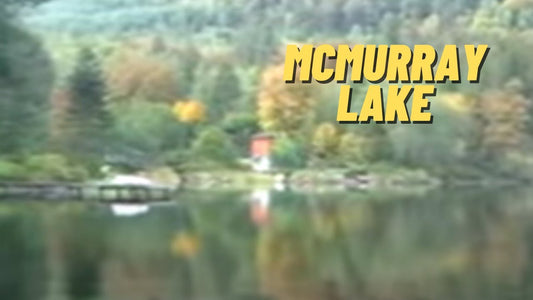 McMurray Lake: Fishing Location in Skagit County