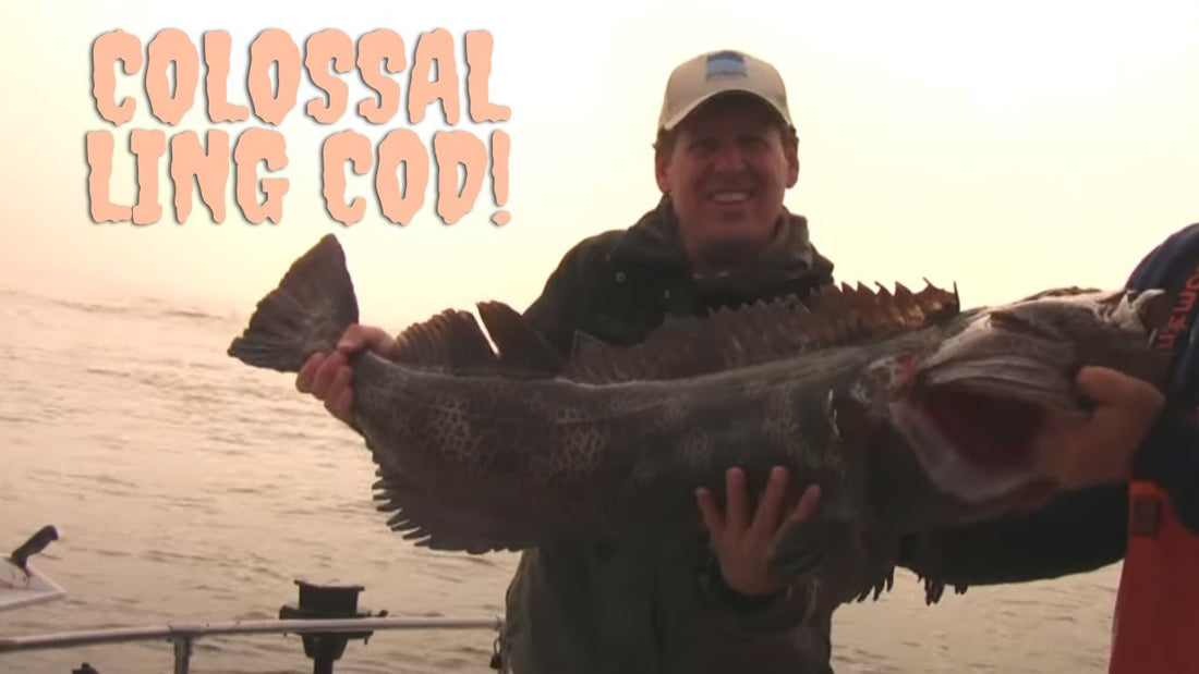 Neah Bay Ling Cod - Part 1