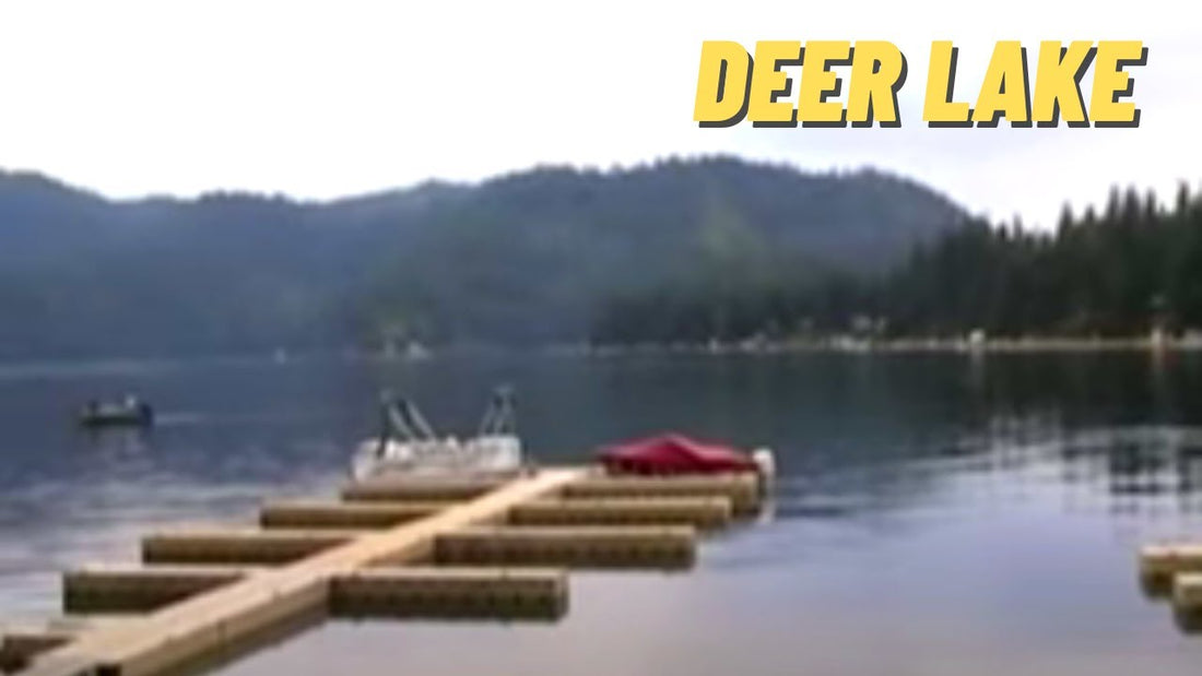 Deer Lake: Fishing Location in Spokane County