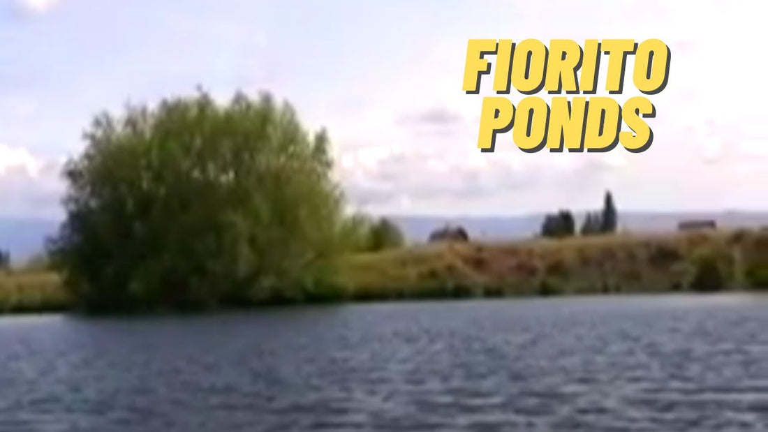 Fiorito Ponds: Fishing Location in Kittitas County