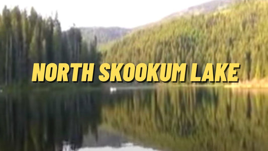 North Skookum Lake: Fishing Location in Pend Oreille County