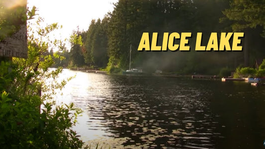 Alice Lake: Fishing Location in King County