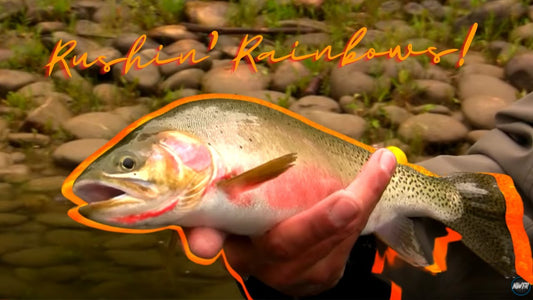 Fishing for Rainbow Trout on the Columbia River with FarNorth Charters