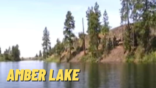 Amber Lake: Fishing Location in Spokane County