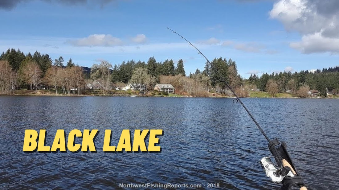 Black Lake: Fishing Location in Thurston County