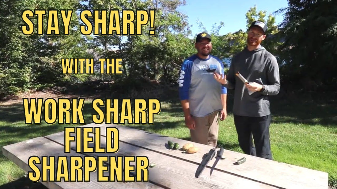 Quick Knife Field Sharpening Tips