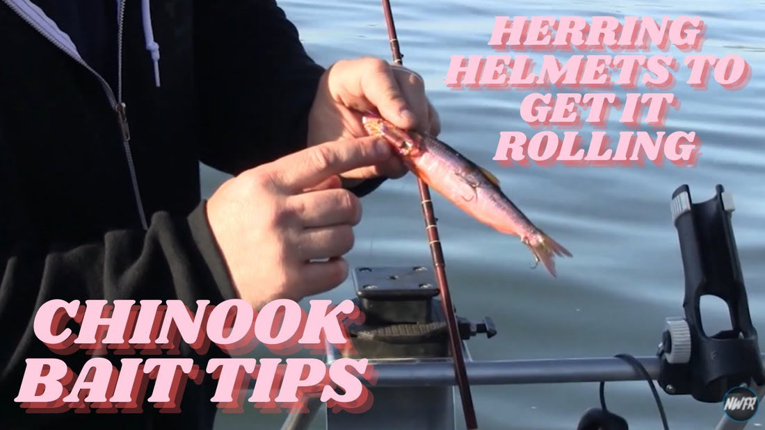 How to Catch Chinook on Lake CDA with Herring Helmets