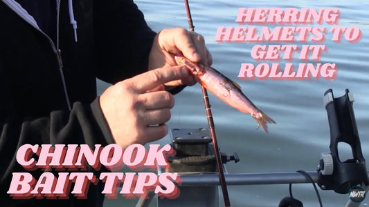 How to Catch Chinook on Lake CDA with Herring Helmets