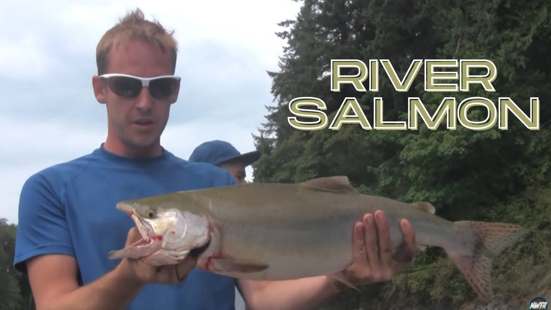 Skykomish and Snohomish Pink Salmon Fishing