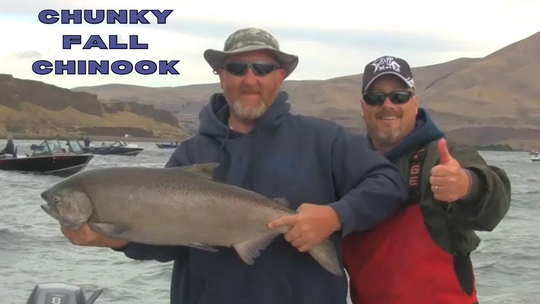 Fall Chinook on the Columbia River