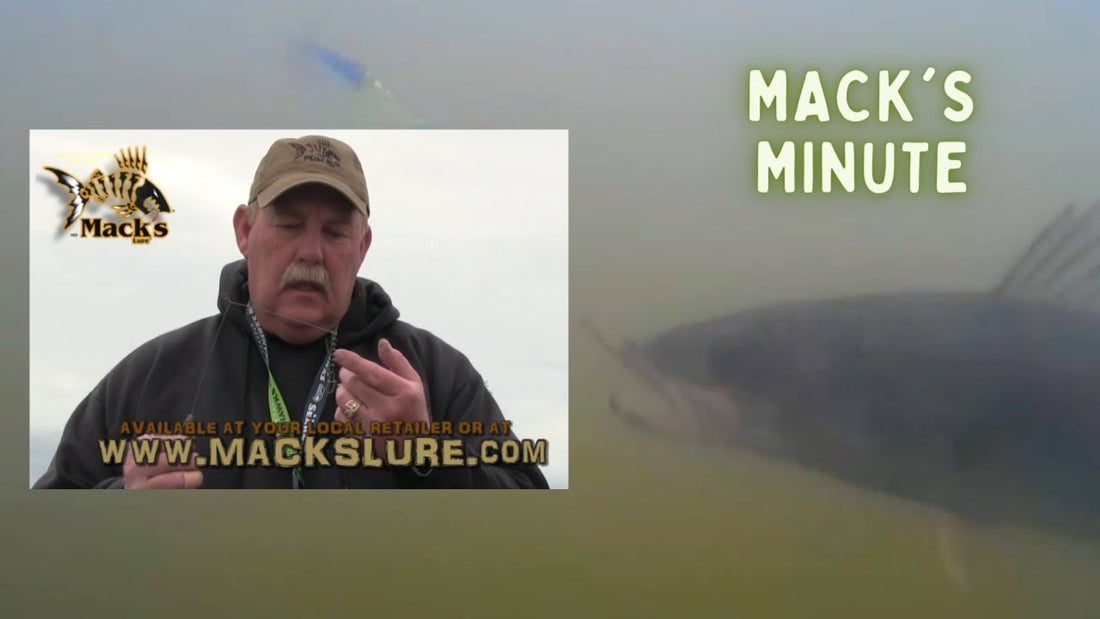 Walleye Bottom Bouncers Explained | Mack's Minute