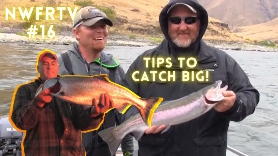 Snake River Steelhead & Mid Channel Chinooks | NWFRTV#16