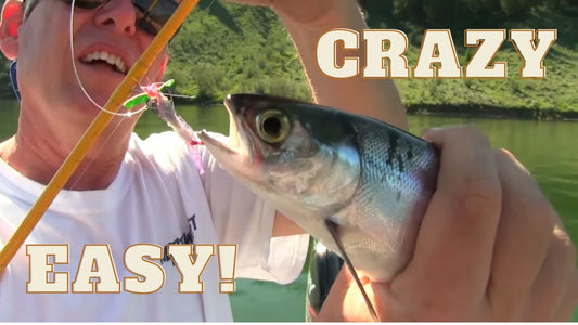 Crazy Easy Kokanee Limits on Spectacle Lake - Extended Cut