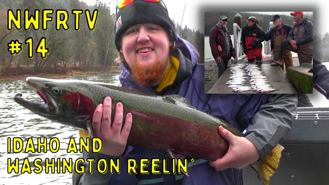 Clearwater Idaho Steelhead & Swift Reservoir Rainbows | NWFRTV#14