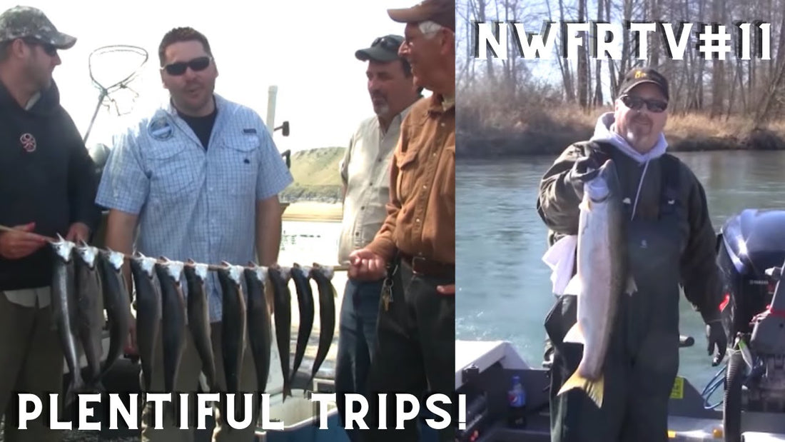 Lake Roosevelt Winter Kokanee & Cowlitz B Run Steelhead | NWFRTV#11