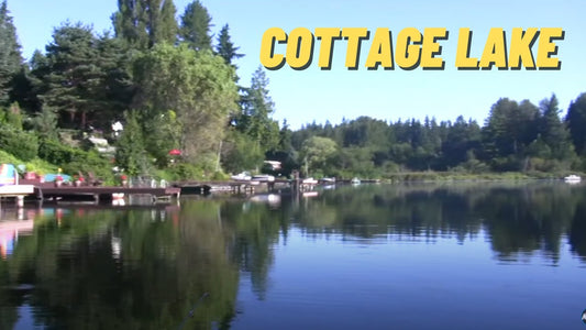 Cottage Lake: Fishing Location in King County