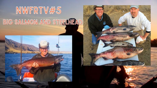 Fall Columbia Kings & Pateros Steelhead | NWFRTV#5