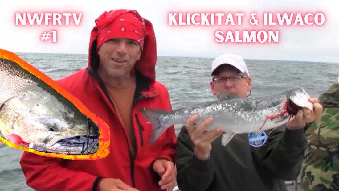 Klickitat Drift Boat Chinook & Ilwaco Chinook Salmon Fishing | NWFRTV#1