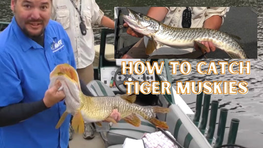 Tiger Muskie Tips & Tactics on Newman Lake - Extended Cut