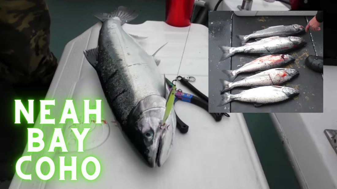 Saltwater Fishing for Coho in Neah Bay - Extended Cut