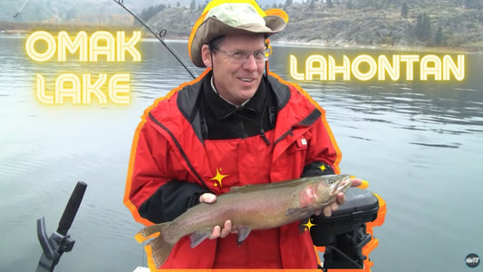 Omak Lake Lahontan Cutthroats