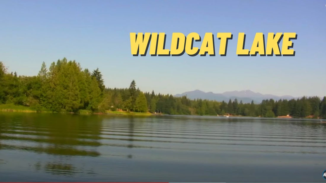 Wildcat Lake: Fishing Location in Kitsap County