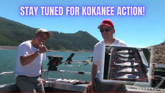 Keechelus Kokanee Sneak Preview