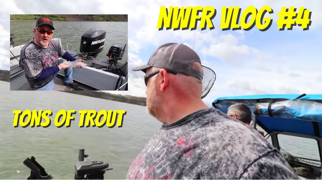 In Search of Monster Brown Trout | NWFR Vlog#4